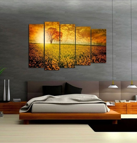 portfolio-img